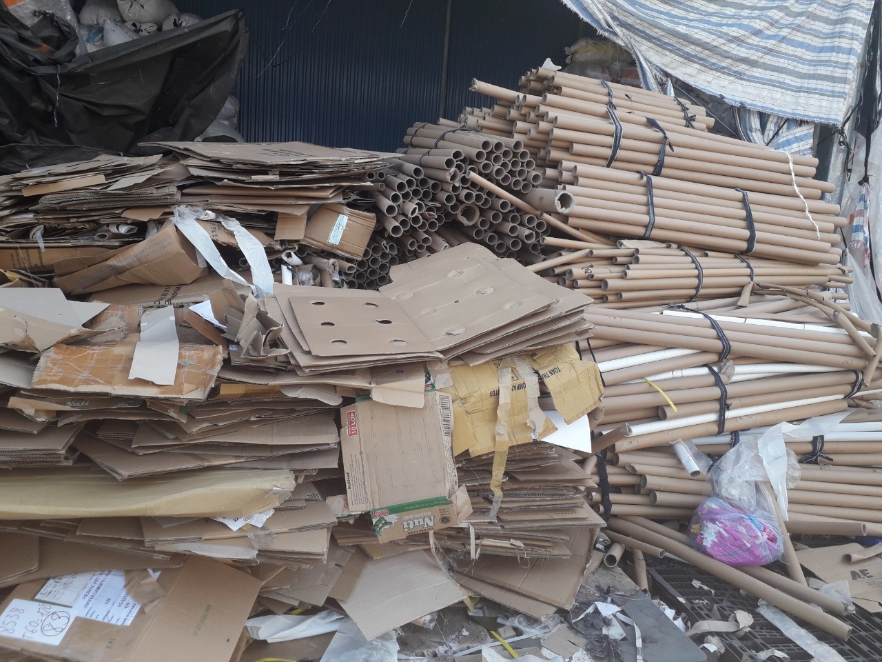 Thu mua giấy carton phế liệu tại Bình Dương- SG Hiền Hoà